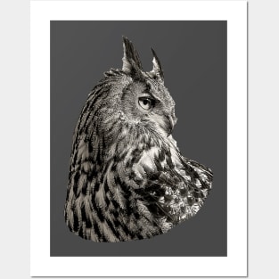 Eurasian Eagle Owl Posters and Art